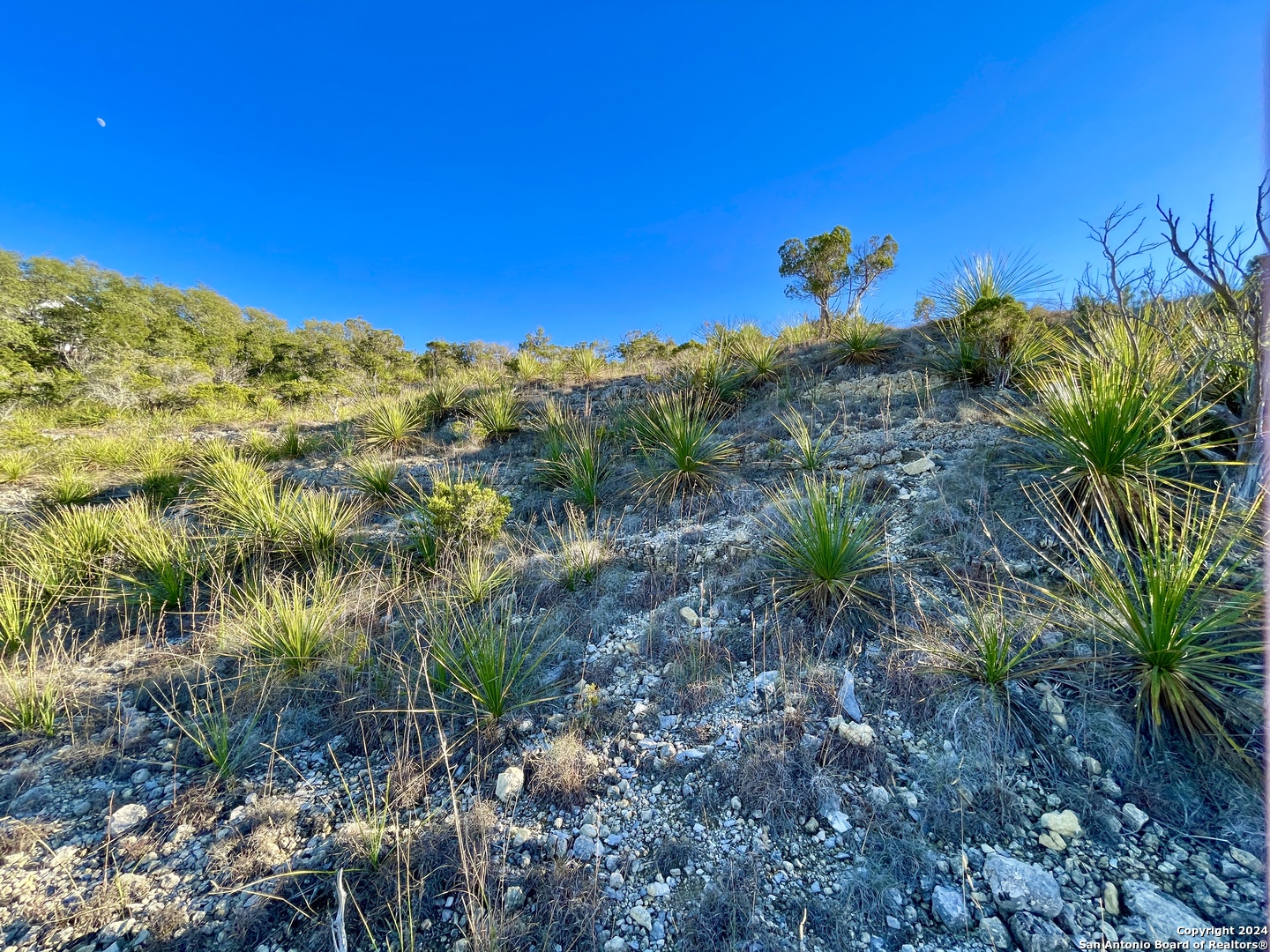 560 Ledgeview Dr , Canyon Lake, TX, 78133 | 1775433 | Realty Texas LLC