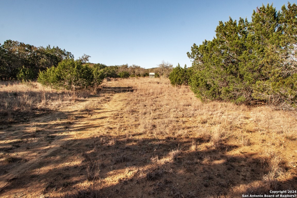 1100 Baptist Lane, Tarpley, TX, 78883 | 1752782 | Realty Texas LLC