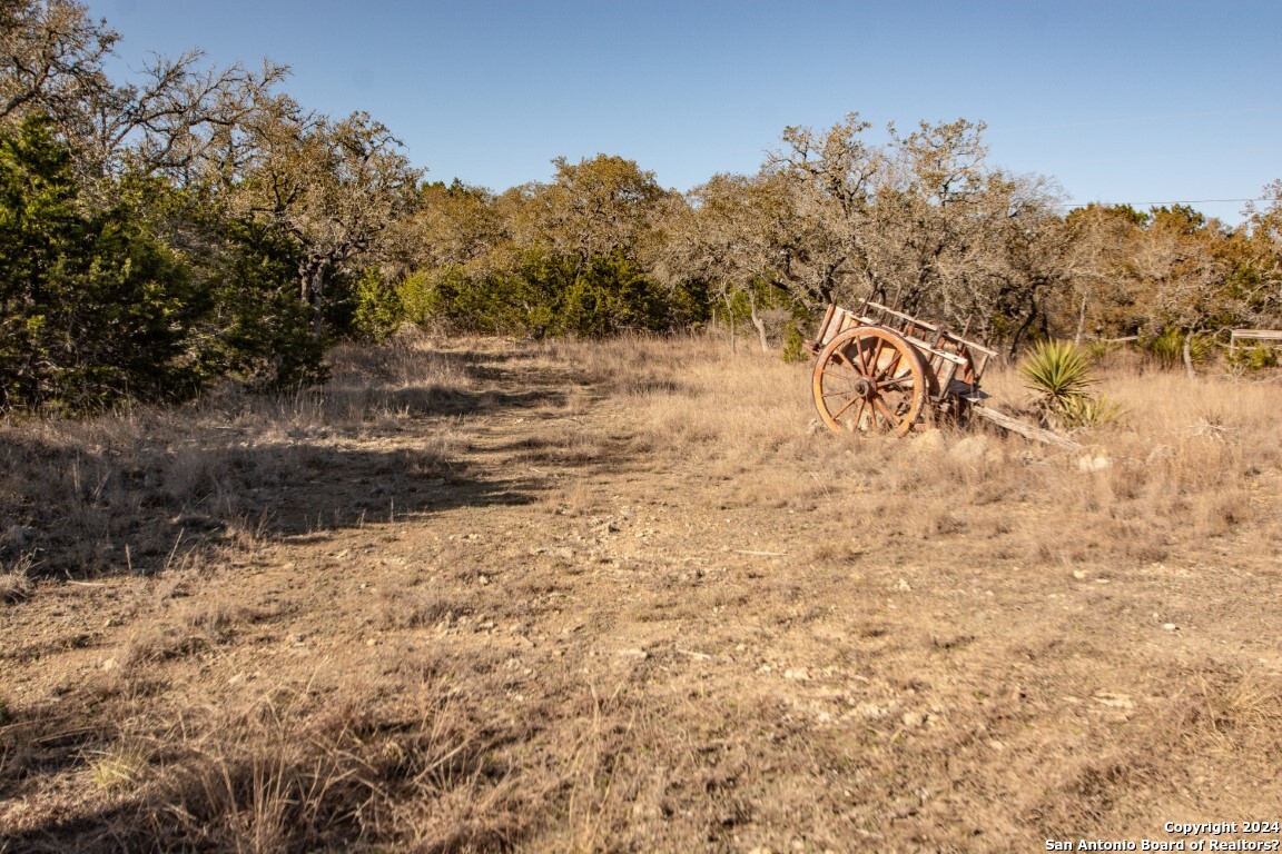 1100 Baptist Lane, Tarpley, TX, 78883 | 1752782 | Realty Texas LLC