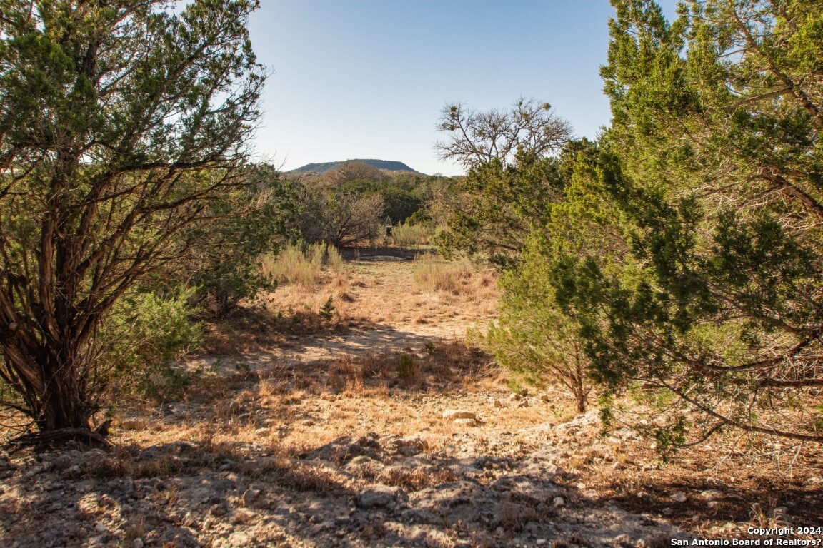 1100 Baptist Lane, Tarpley, TX, 78883 | 1752782 | Realty Texas LLC
