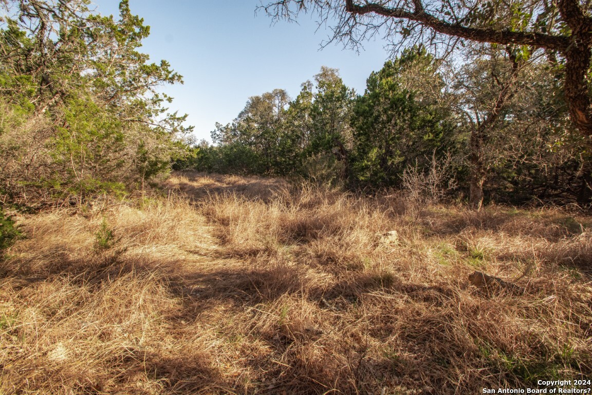 1100 Baptist Lane, Tarpley, TX, 78883 | 1752782 | Realty Texas LLC