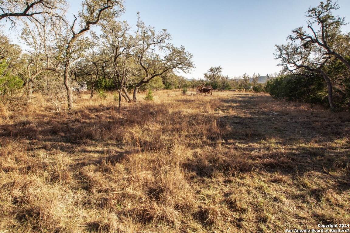 1100 Baptist Lane, Tarpley, TX, 78883 | 1752782 | Realty Texas LLC