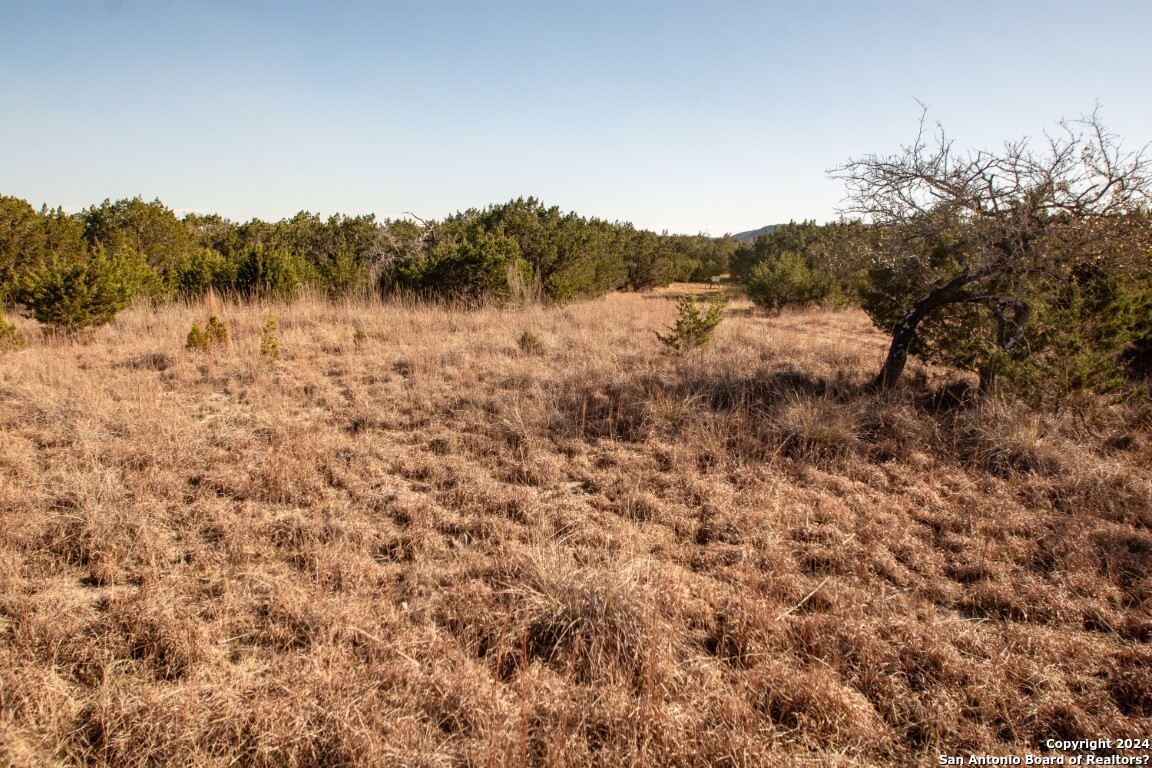 1100 Baptist Lane, Tarpley, TX, 78883 | 1752782 | Realty Texas LLC