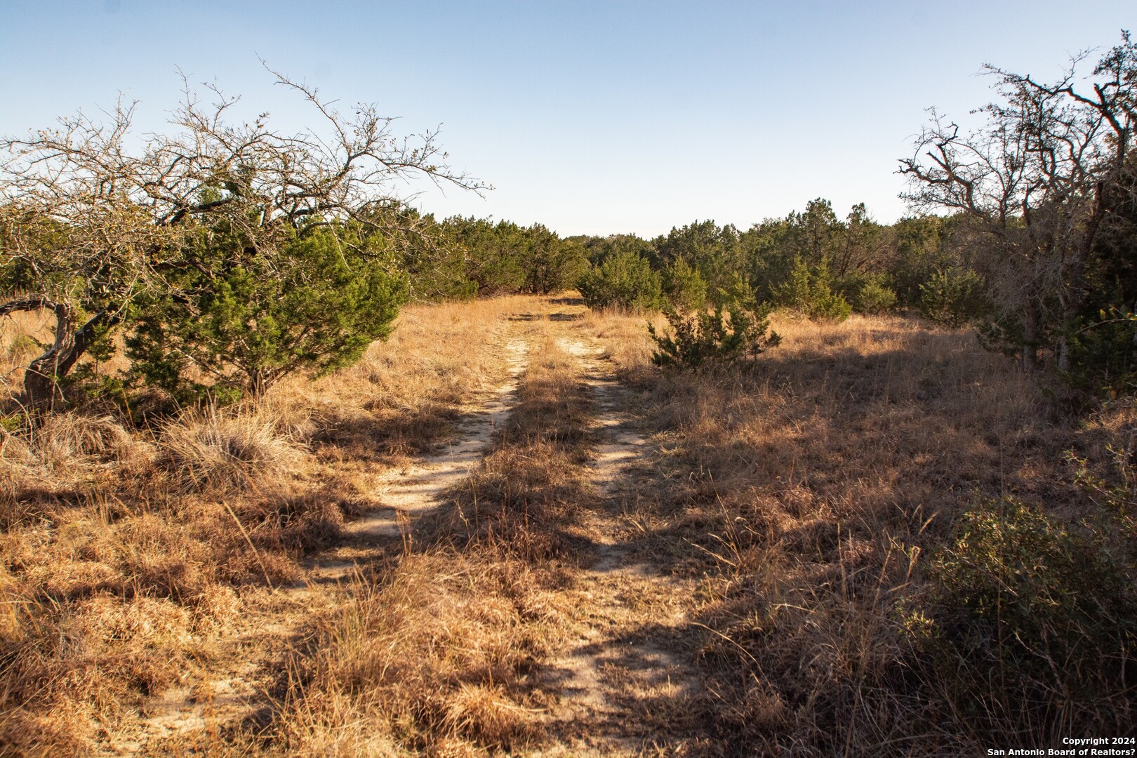 1100 Baptist Lane, Tarpley, TX, 78883 | 1752782 | Realty Texas LLC