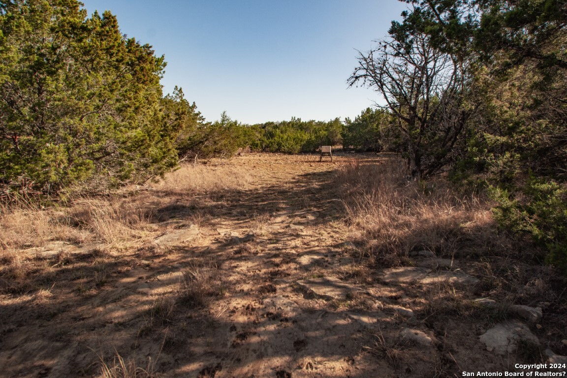 1100 Baptist Lane, Tarpley, TX, 78883 | 1752782 | Realty Texas LLC
