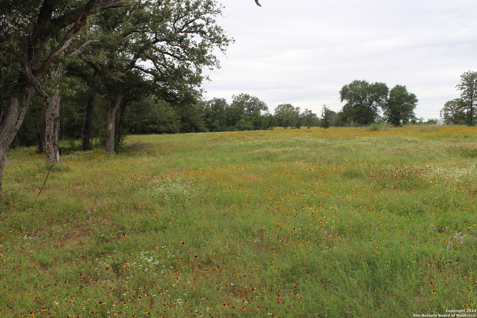 Tbd Twin Creeks Rd , Seguin, TX, 78155 | 1777286 | Realty Texas LLC