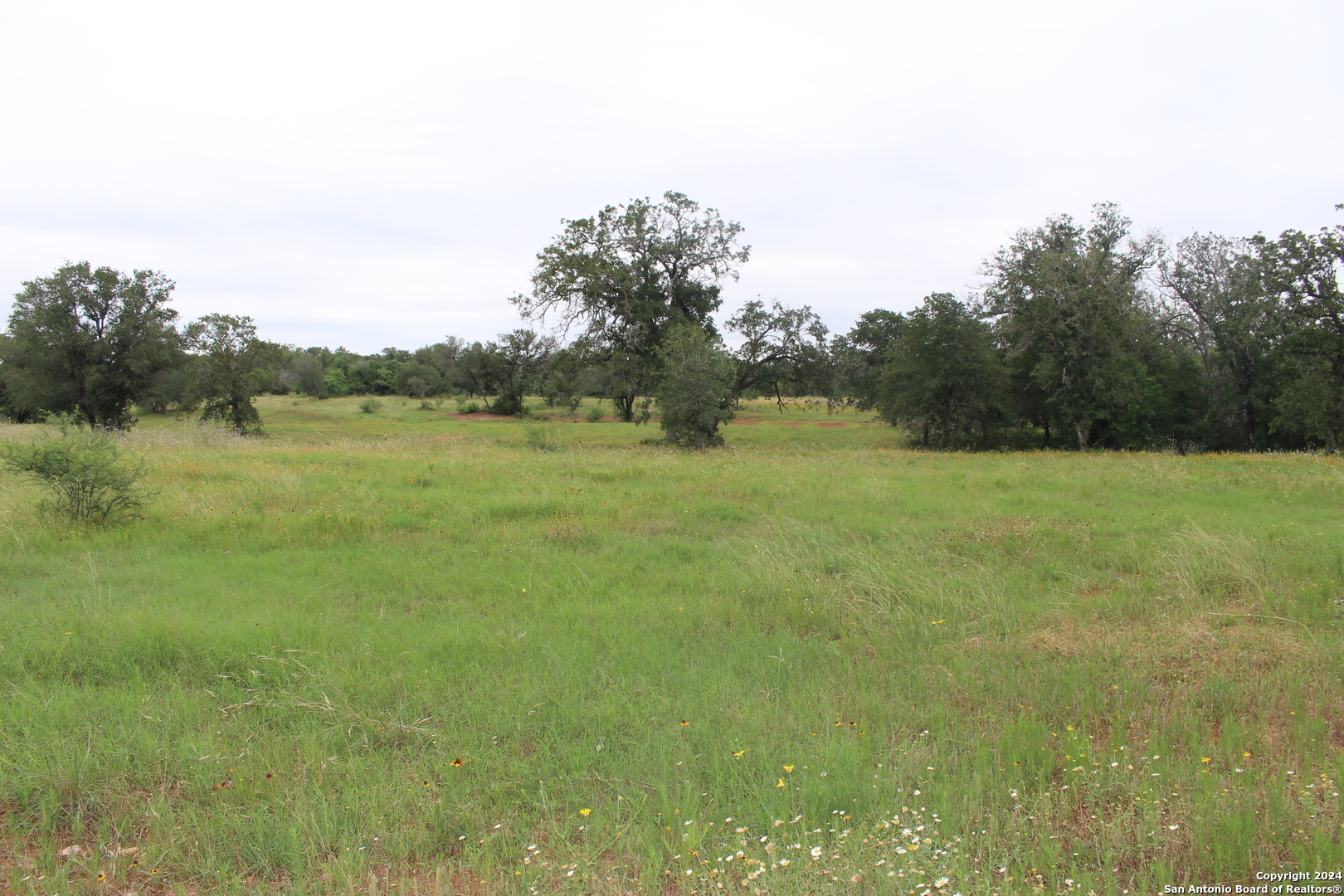 Tbd Twin Creeks Rd , Seguin, TX, 78155 | 1777286 | Realty Texas LLC