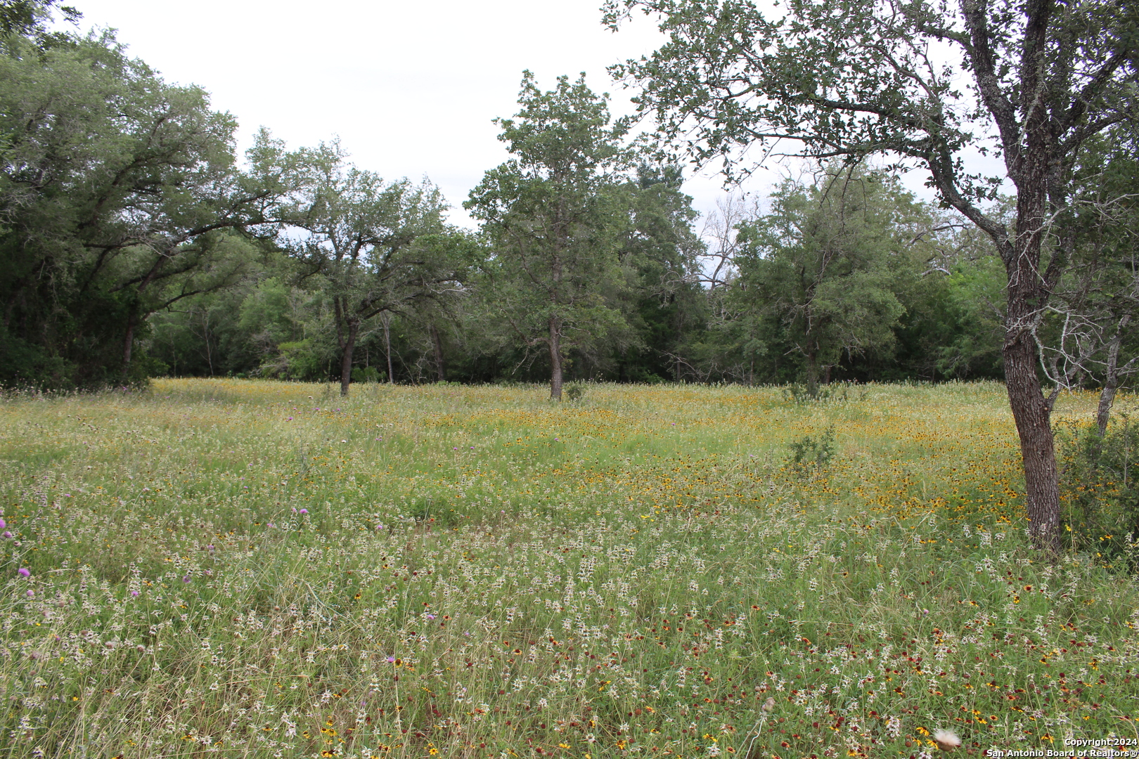 Tbd Twin Creeks Rd , Seguin, TX, 78155 | 1777286 | Realty Texas LLC