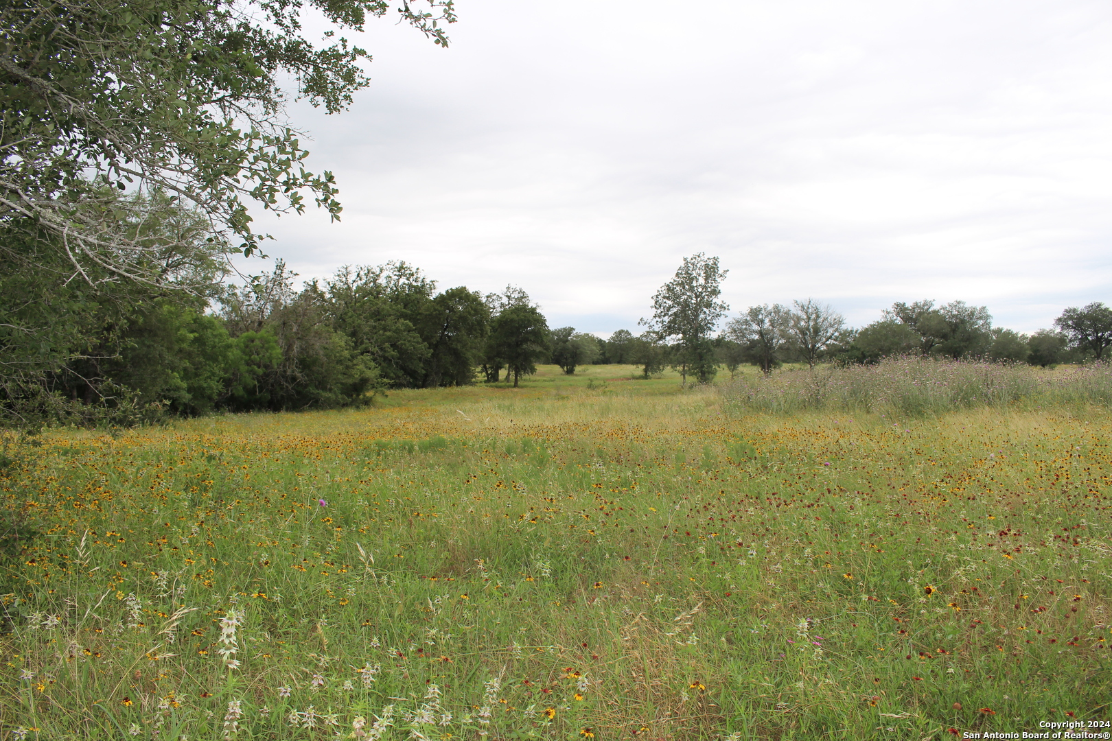 Tbd Twin Creeks Rd , Seguin, TX, 78155 | 1777286 | Realty Texas LLC