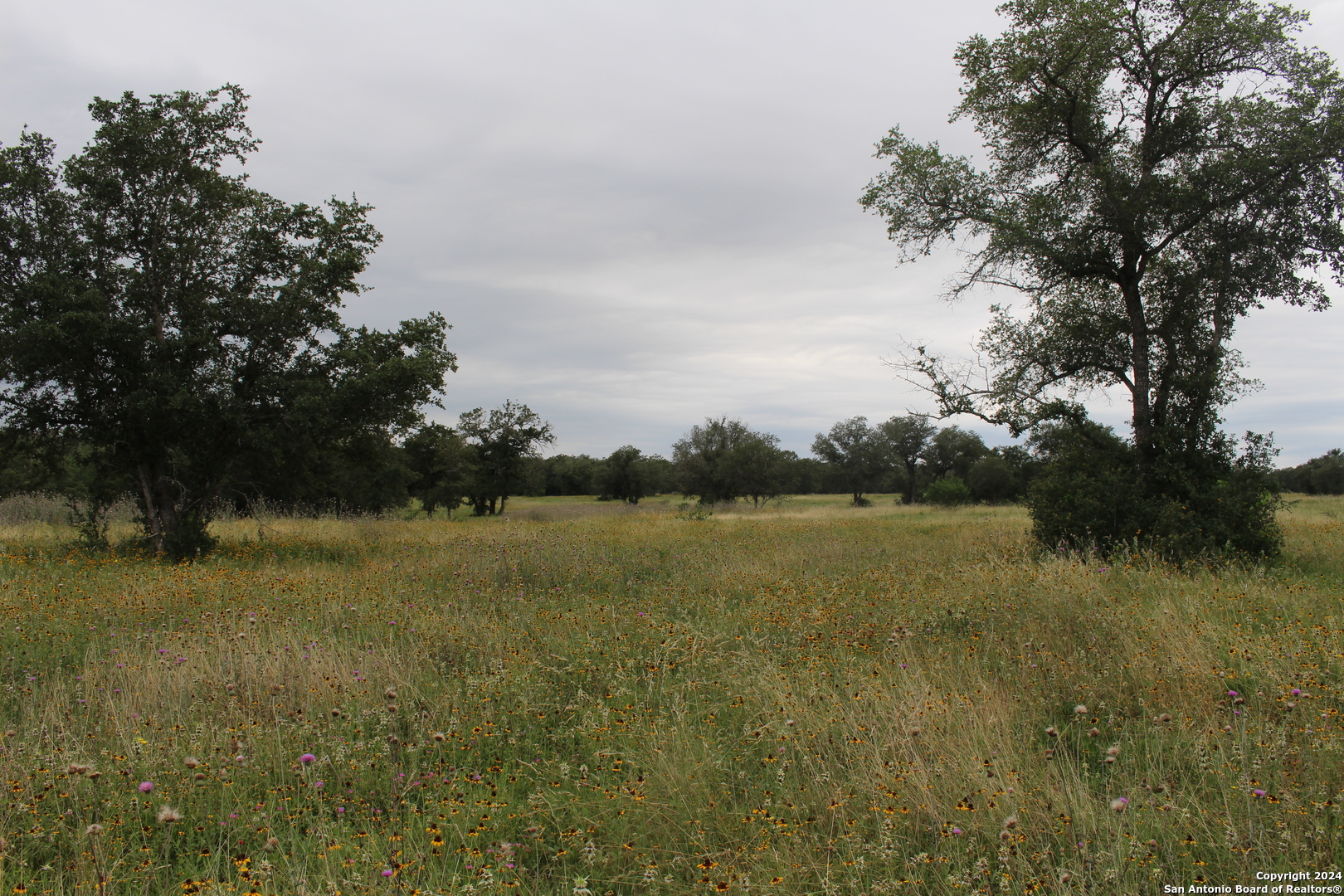 Tbd Twin Creeks Rd , Seguin, TX, 78155 | 1777286 | Realty Texas LLC