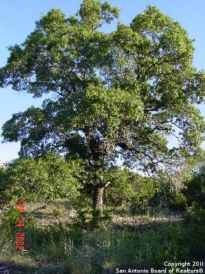 6130 Derby Way , Bulverde, TX, 78163 | 905457 | Realty Texas LLC