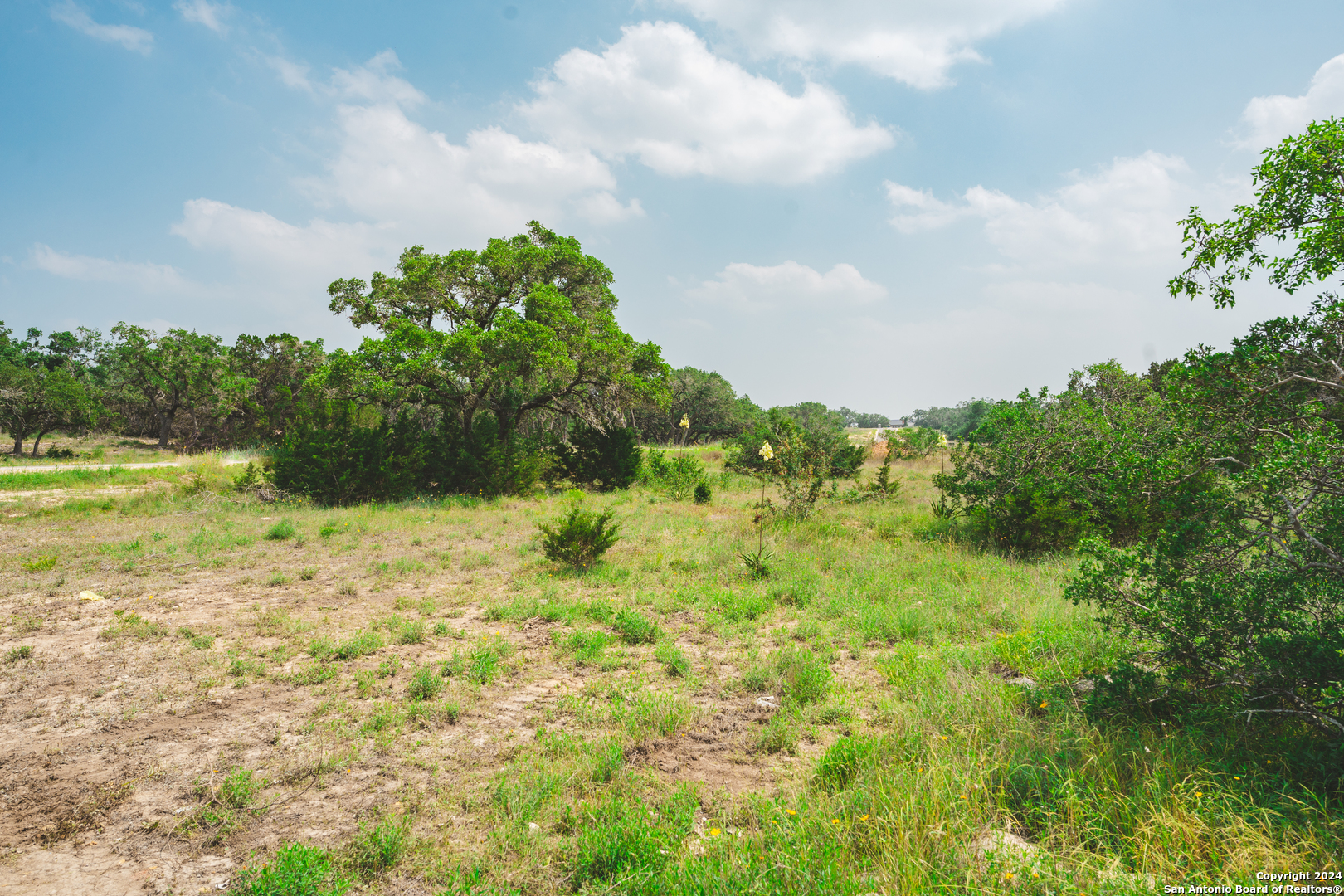 34733 Carries Creek Dr, BULVERDE, TX, 78163-2598 | 1778021 | Realty Texas LLC