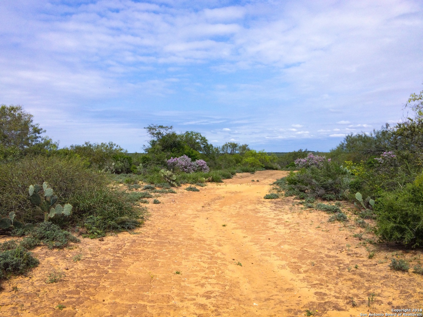 00 N Hwy 83 , Laredo, TX, 78045 | 1349555 | Realty Texas LLC