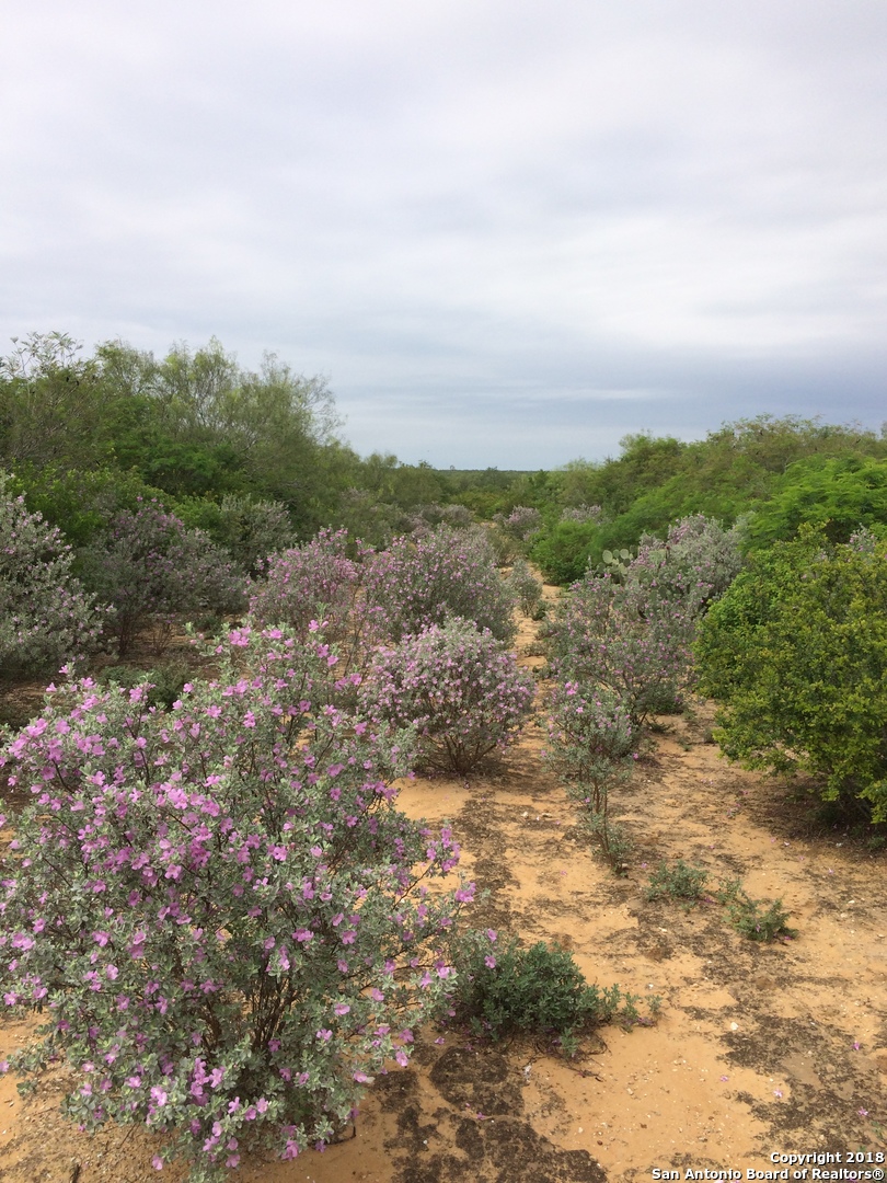 00 N Hwy 83 , Laredo, TX, 78045 | 1349555 | Realty Texas LLC