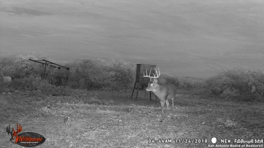 000 County Road 315 , Benavides, TX, 78341 | 1778746 | Realty Texas LLC