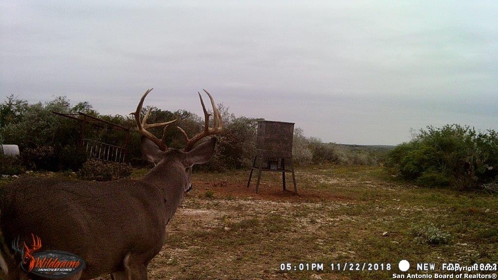 000 County Road 315 , Benavides, TX, 78341 | 1778746 | Realty Texas LLC