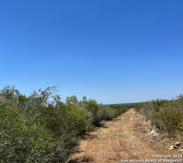 000 County Road 315 , Benavides, TX, 78341 | 1778746 | Realty Texas LLC