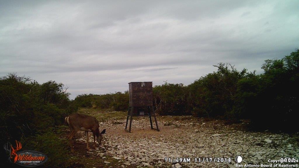 000 County Road 315 , Benavides, TX, 78341 | 1778746 | Realty Texas LLC