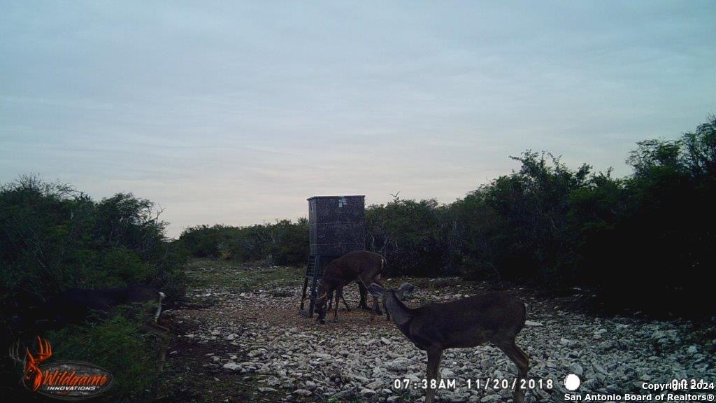 000 County Road 315 , Benavides, TX, 78341 | 1778746 | Realty Texas LLC