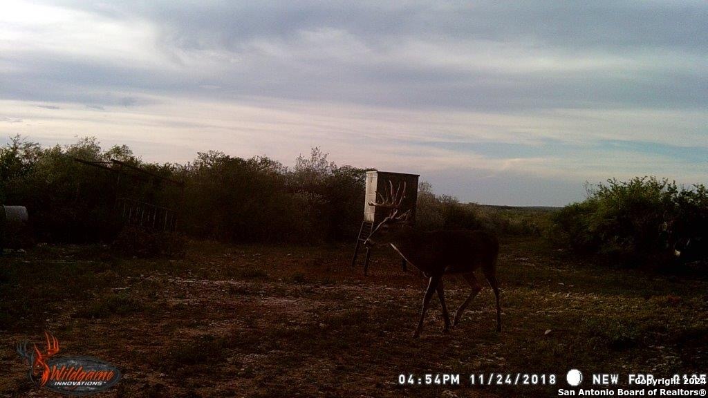 000 County Road 315 , Benavides, TX, 78341 | 1778746 | Realty Texas LLC