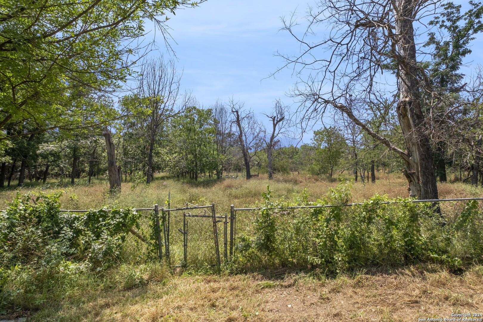 4130 Aina Ln , San Antonio, TX, 78218-4307 | 1779053 | Realty Texas LLC