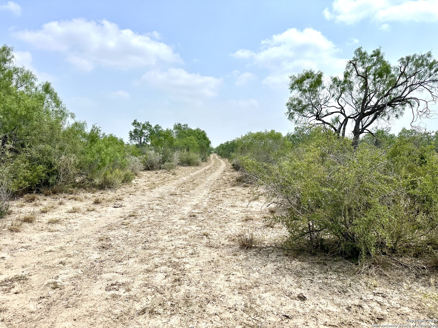 0000 Cr 649 , ZAPATA, TX, 78528 | 1779694 | Realty Texas LLC