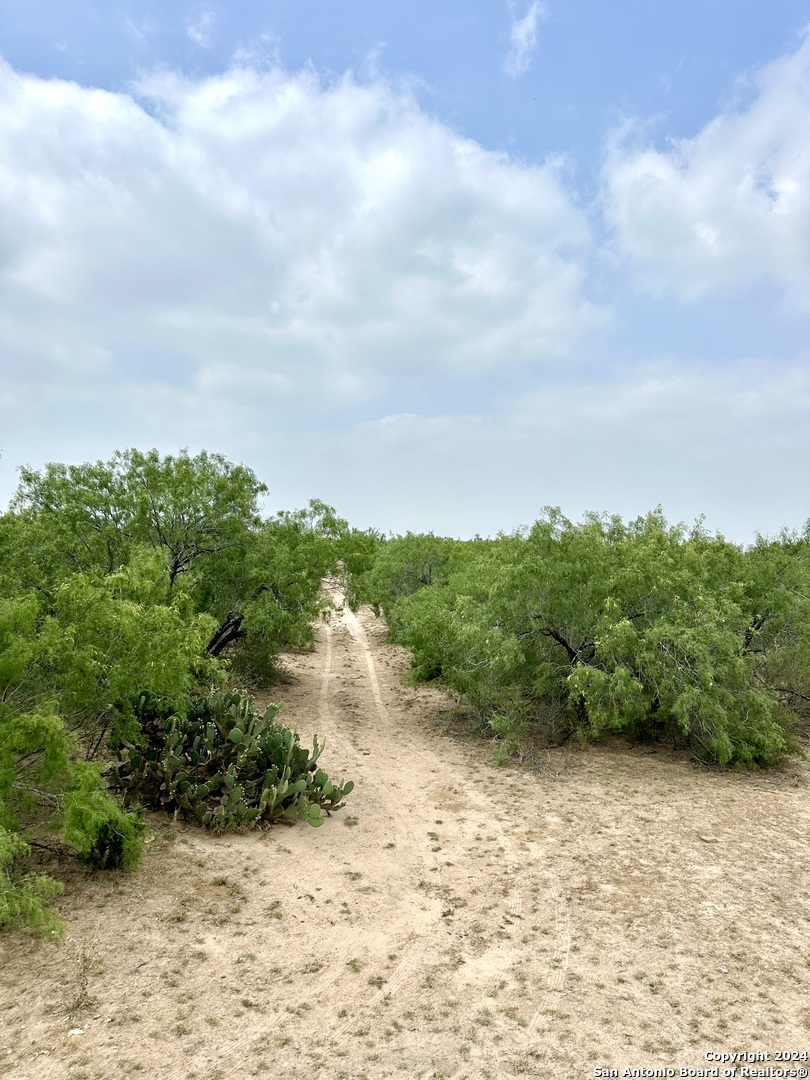 0000 Cr 649 , ZAPATA, TX, 78528 | 1779694 | Realty Texas LLC