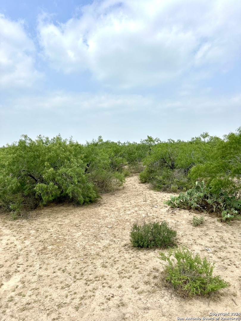 0000 Cr 649 , ZAPATA, TX, 78528 | 1779694 | Realty Texas LLC