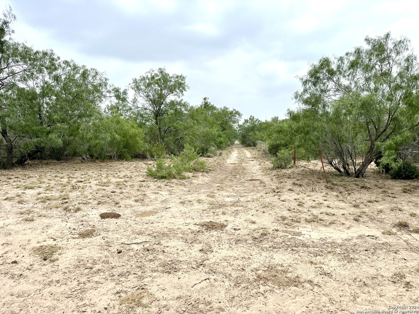 0000 Cr 649 , ZAPATA, TX, 78528 | 1779694 | Realty Texas LLC