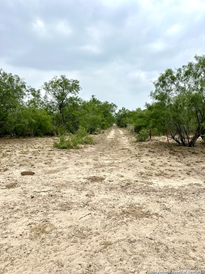 0000 Cr 649 , ZAPATA, TX, 78528 | 1779694 | Realty Texas LLC