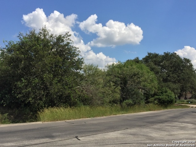 22342 Angostura Blvd , San Antonio, TX, 78261 | 1201956 | Realty Texas LLC