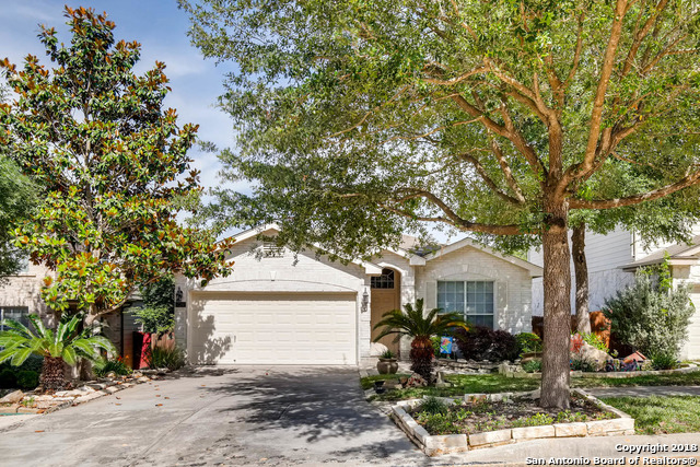 17210 Ashbury Lodge , San Antonio, TX, 78247-5850 | 1310742 | Realty Texas LLC