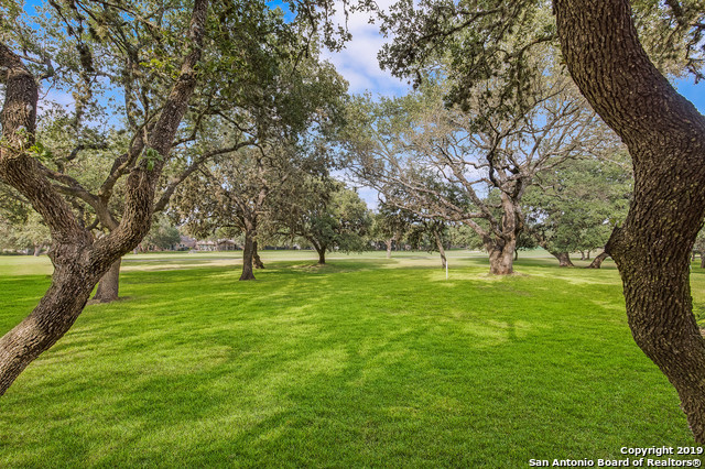 29535 Terra Vista , Fair Oaks Ranch, TX, 78015 | 1348828 | Realty Texas LLC