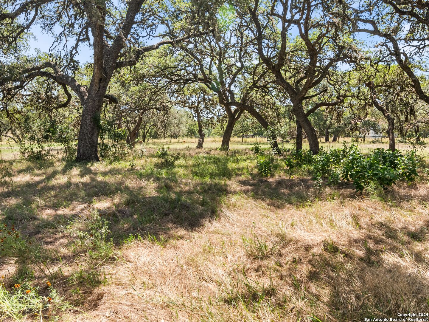 17 Old Fredericksburg , Boerne, TX, 78015 | 1791709 | Realty Texas LLC