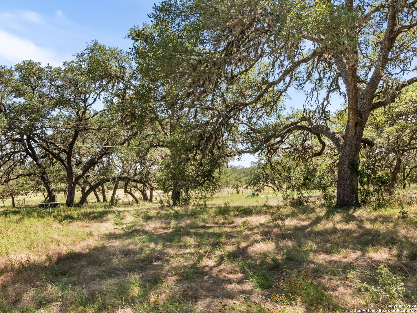 17 Old Fredericksburg , Boerne, TX, 78015 | 1791709 | Realty Texas LLC