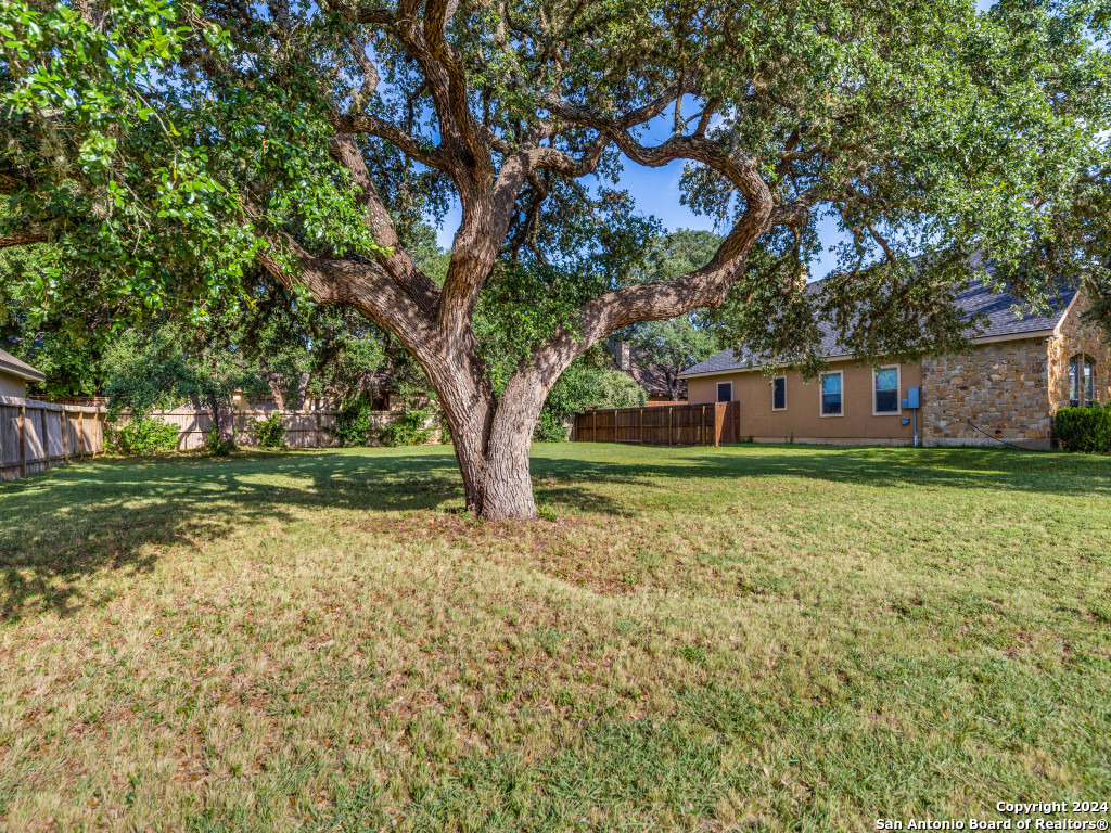 218 Lone Tree, BOERNE, TX, 78006-8874 | 1793553 | Realty Texas LLC