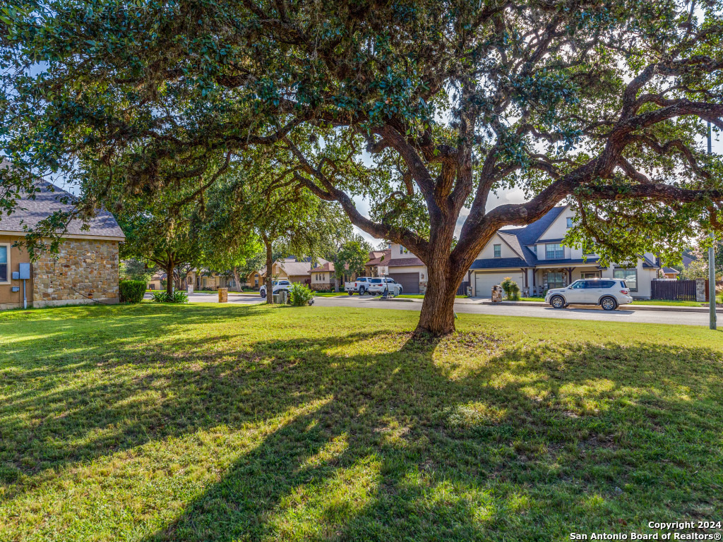 218 Lone Tree, BOERNE, TX, 78006-8874 | 1793553 | Realty Texas LLC