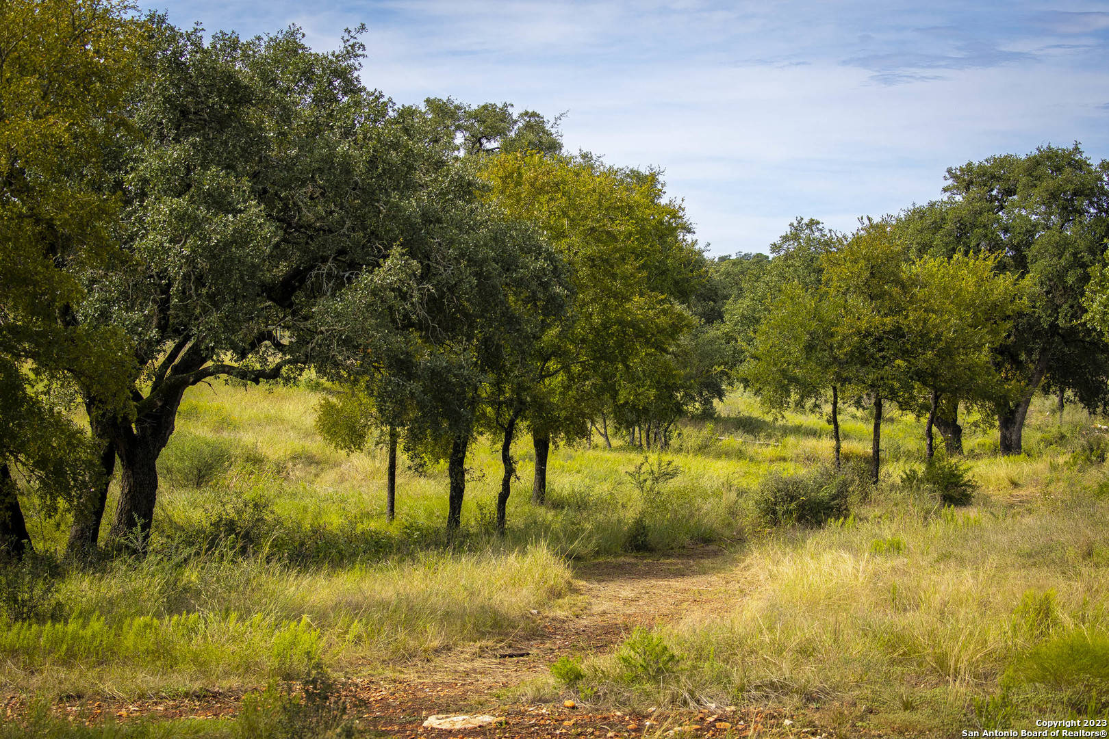 1827 Bighorn Trail , New Braunfels, TX, 78132 | 1793226 | Realty Texas LLC