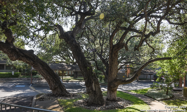 52 Chapel Hill Circle , San Antonio, TX, 78240 | 1821952 | Realty Texas LLC