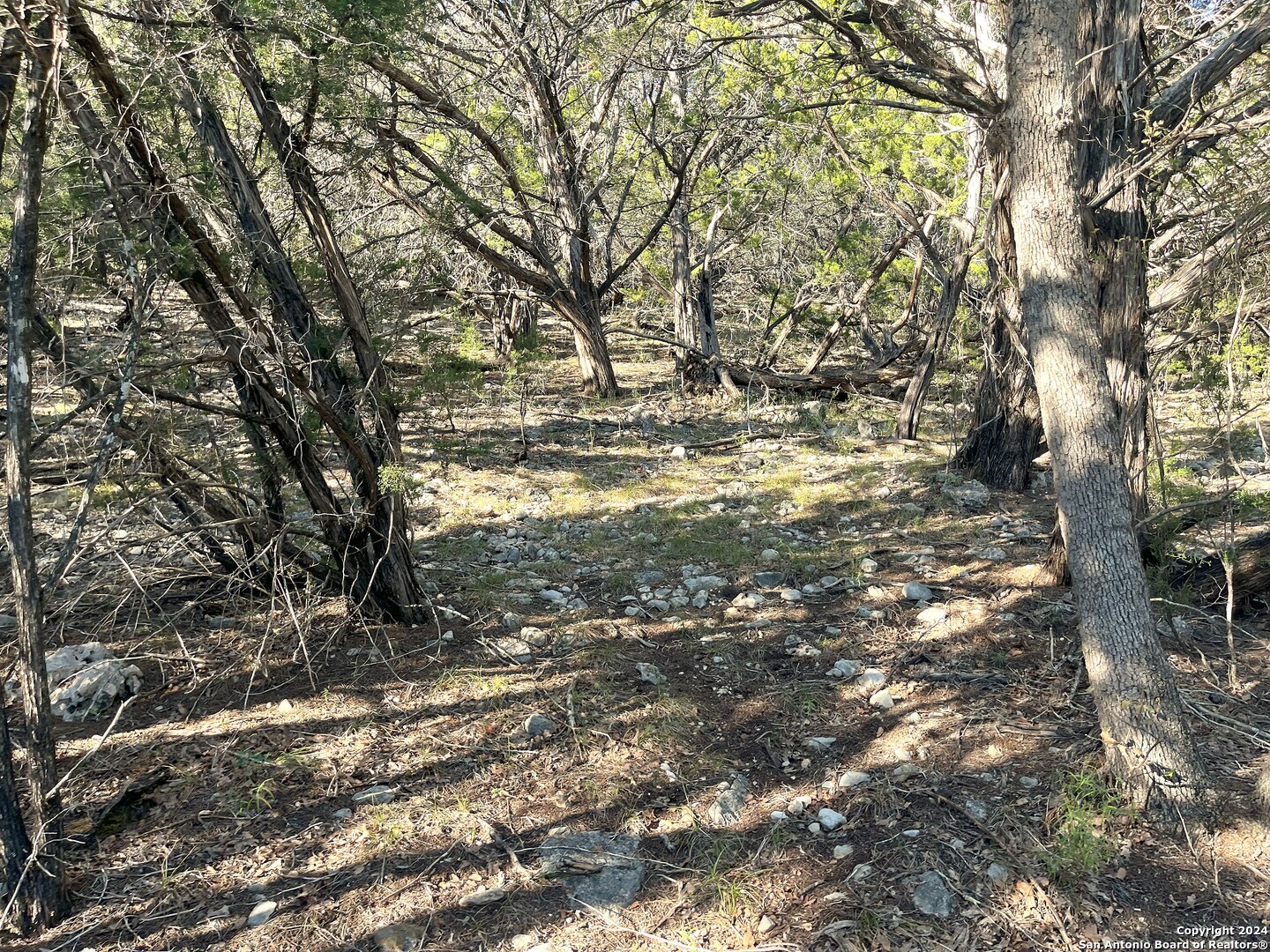 2763 E Ranch Road 337 , Leakey, TX, 78873 | 1825951 | Realty Texas LLC
