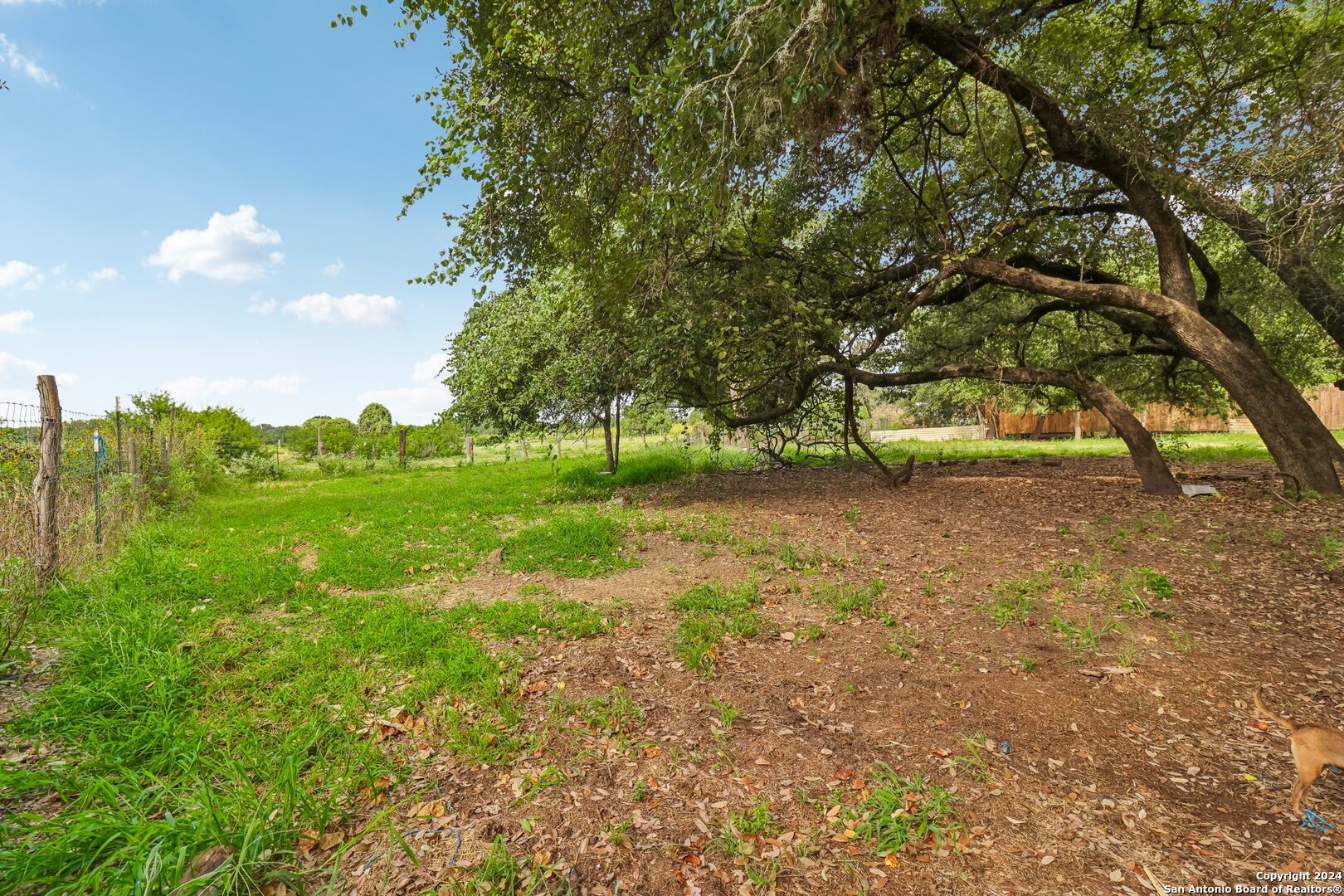 1918 Sandy Circle , San Antonio, TX, 78264 | 1826148 | Realty Texas LLC