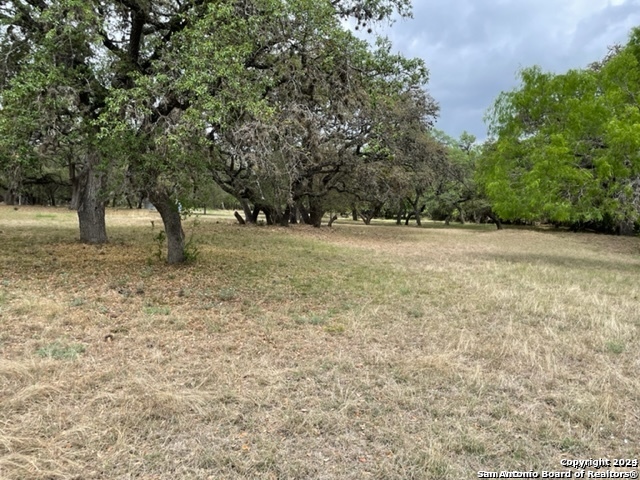 6463 Hollyhock , San Antonio, TX, 78240 | 1826735 | Realty Texas LLC