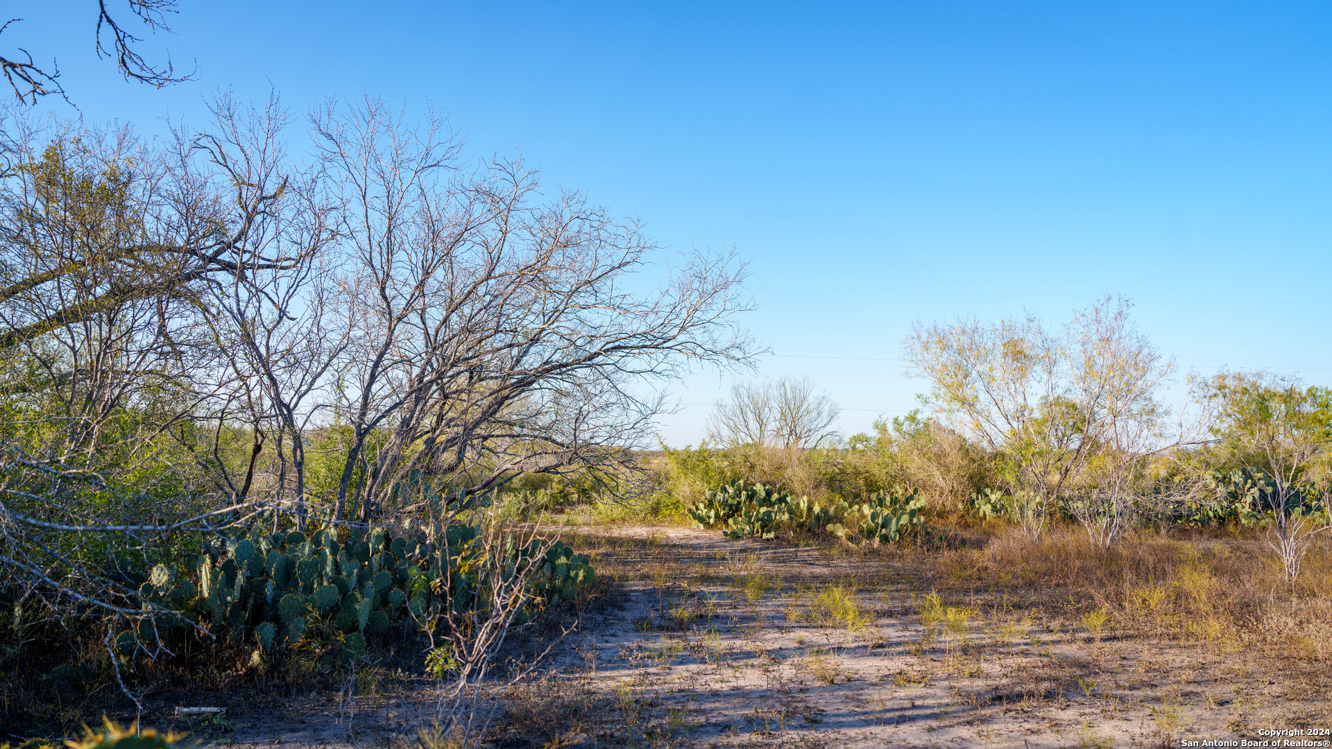 Tbd Highway 1604 , Elmendorf, TX, 78112 | 1832377 | Realty Texas LLC