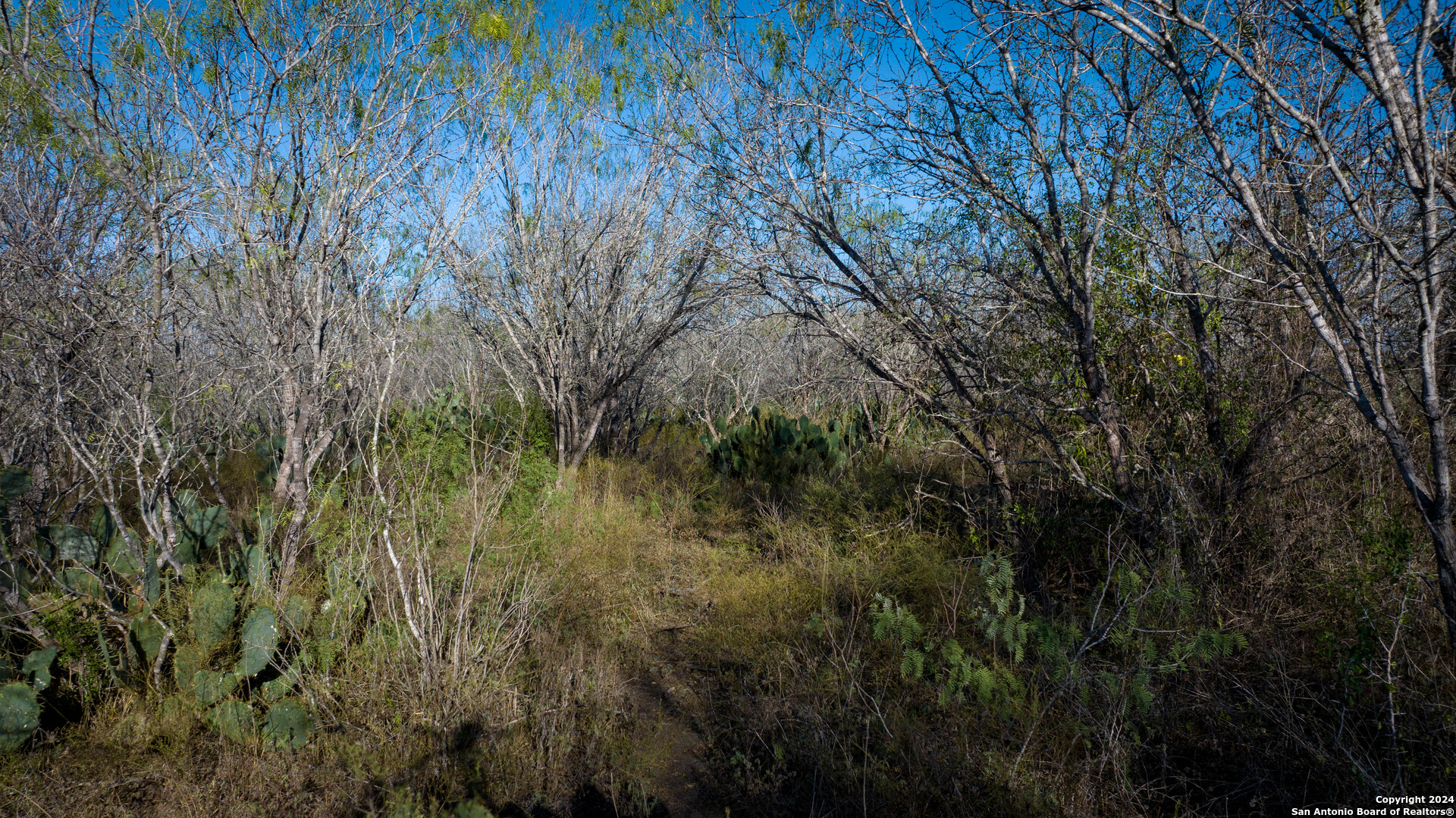 Tbd Highway 1604 , Elmendorf, TX, 78112 | 1832377 | Realty Texas LLC