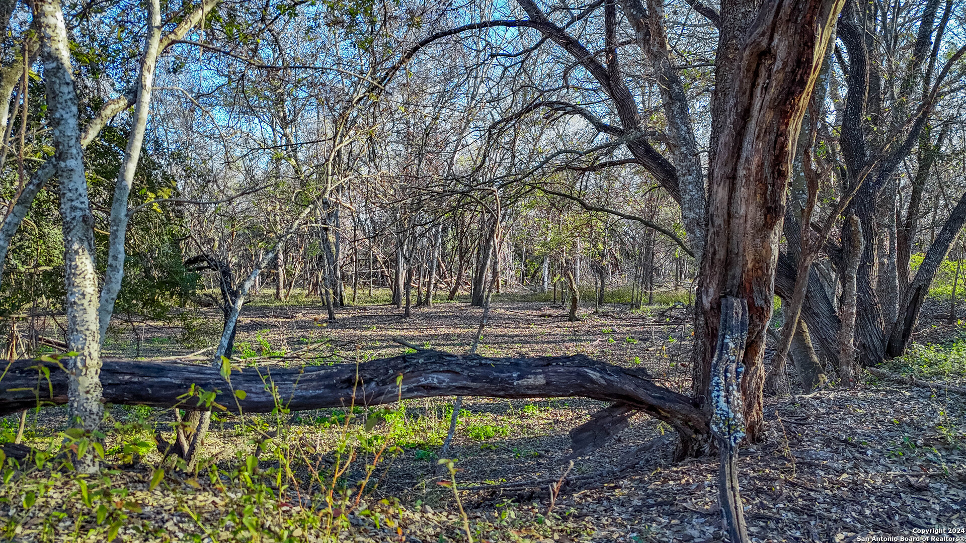 Tbd Highway 1604 , Elmendorf, TX, 78112 | 1832377 | Realty Texas LLC
