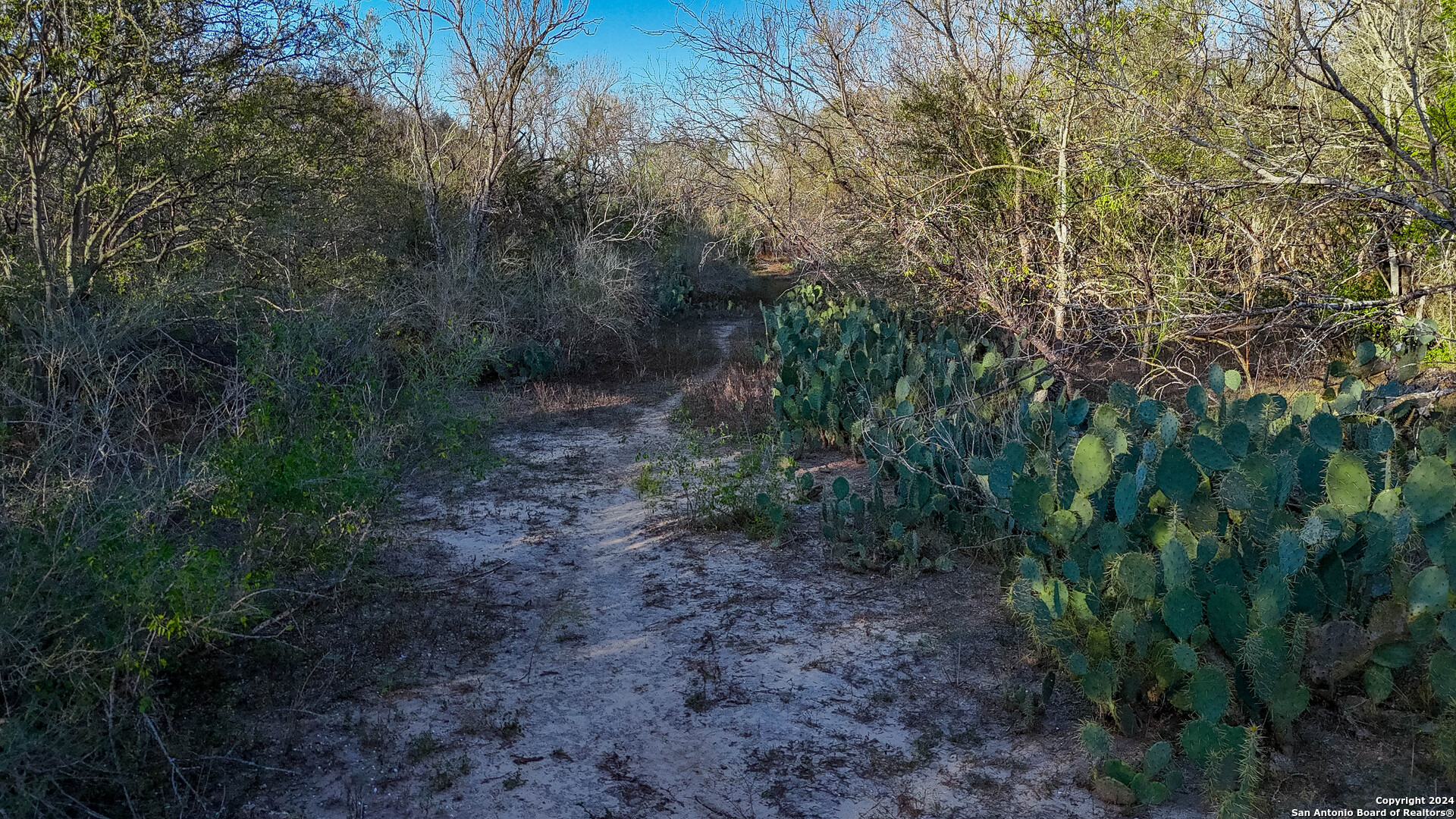 Tbd Highway 1604 , Elmendorf, TX, 78112 | 1832377 | Realty Texas LLC
