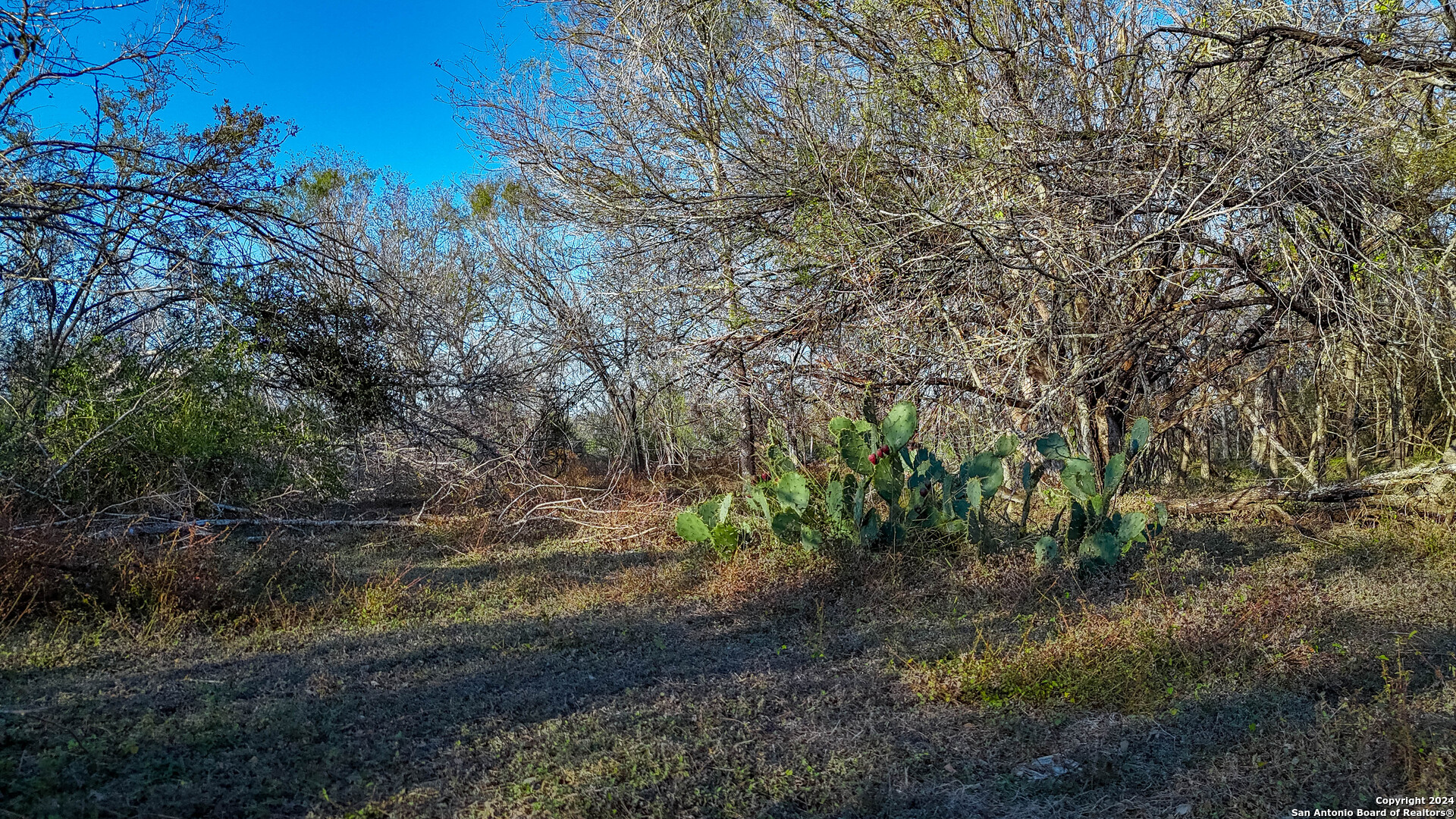 Tbd Highway 1604 , Elmendorf, TX, 78112 | 1832377 | Realty Texas LLC
