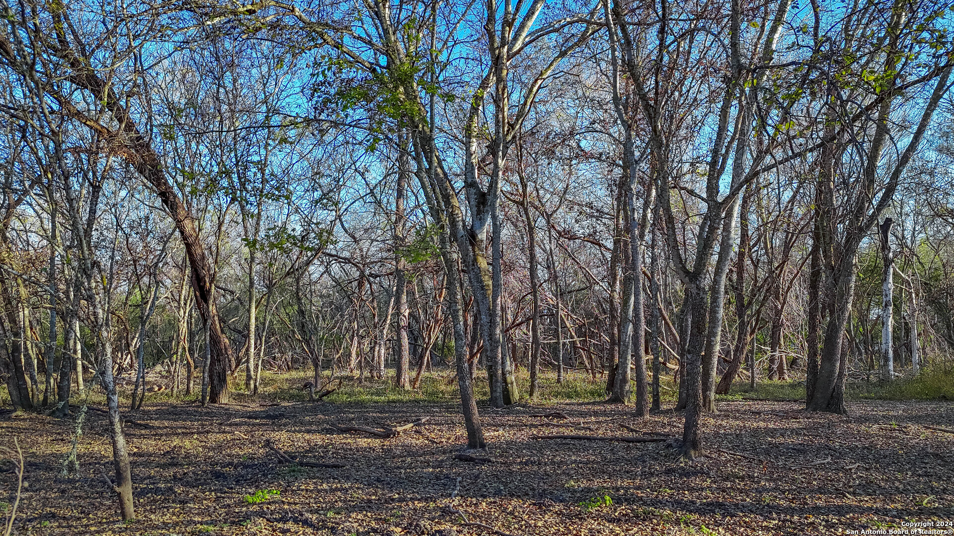 Tbd Highway 1604 , Elmendorf, TX, 78112 | 1832377 | Realty Texas LLC