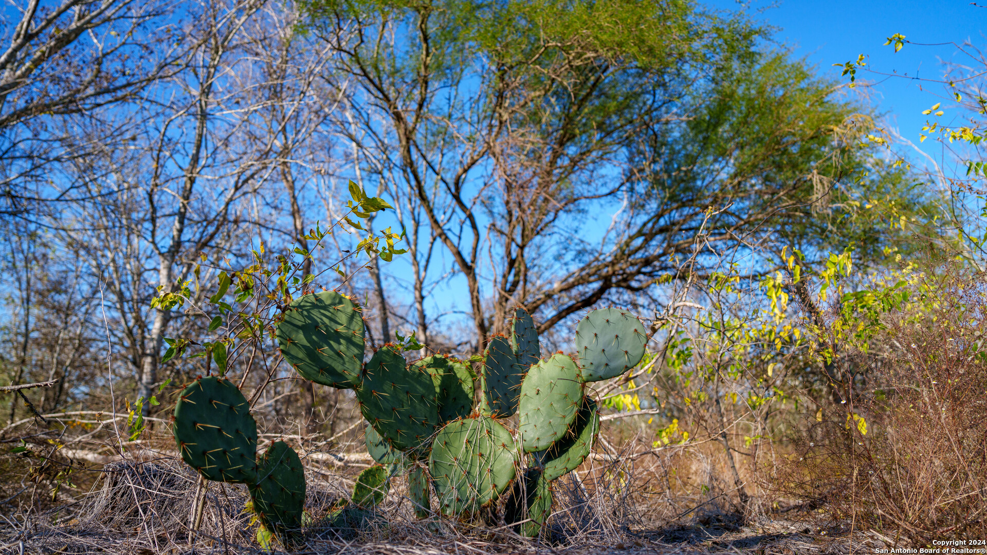 Tbd Highway 1604 , Elmendorf, TX, 78112 | 1832377 | Realty Texas LLC