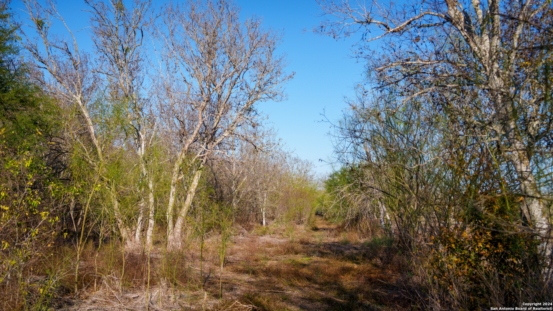 Tbd Highway 1604 , Elmendorf, TX, 78112 | 1832377 | Realty Texas LLC